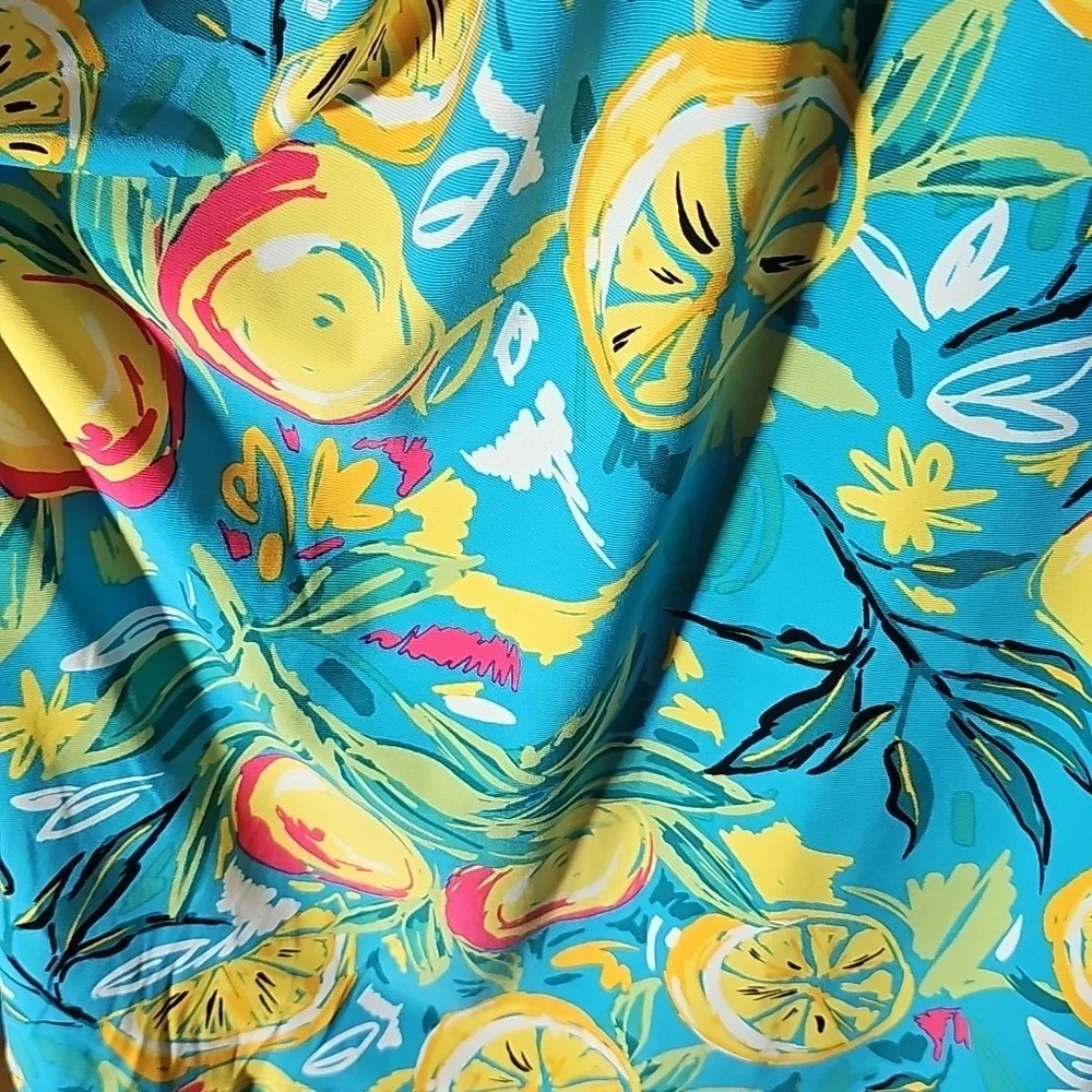 Cappagallo dress NWT Floral Fruit Print Sleeveless Dress Blue and Yellow Size Lg - Picture 3 of 6